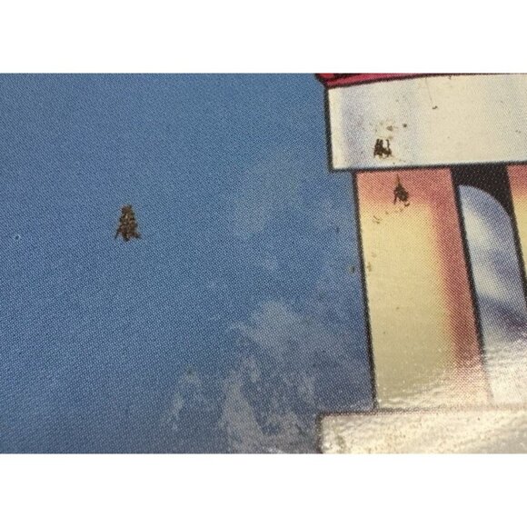 Betty Boop Small Metal Lunchbox 1996 Diner & Drive-In Car Hop Vintage - Picture 2 of 7